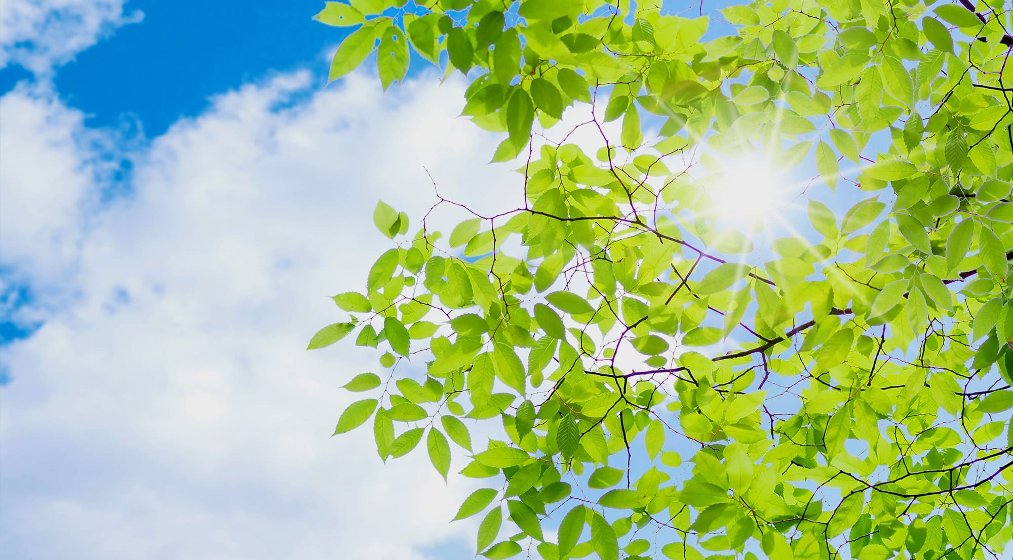 堺市の介護付き有料老人ホーム